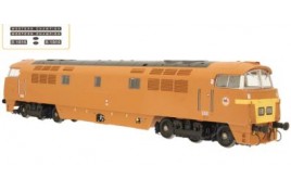 Class 52  'Western Champion" Golden Ochre T Panel D1015 DCC Fitted